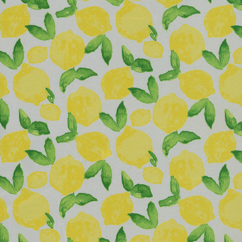 Citrus Squeeze 408930 Yellow PKL Studio Outdoor Fabric