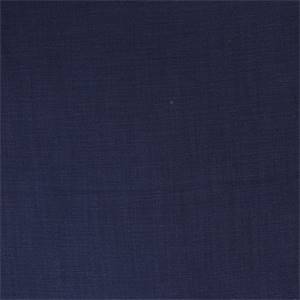 Touchstone Ink Swavelle Mill Creek Fabric