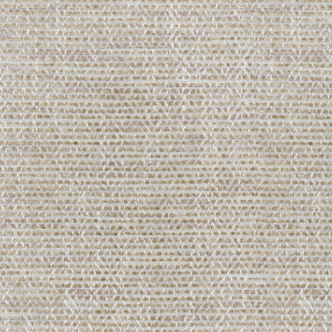 Painted Texture 654504 Shell Waverly Fabric