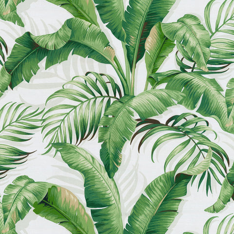 Palmiers 802192 Verde Tommy Bahama Outdoor Fabric