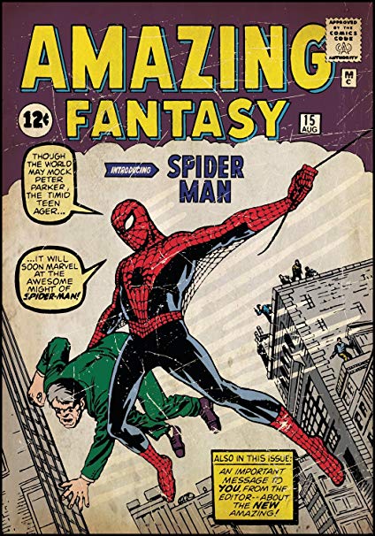 Murals Spider-Man #1 Comic Cover Mural
