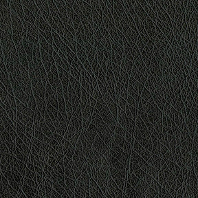 Abilene 9009 Black Fabric