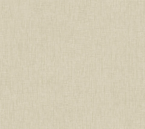 AF6542 Light Grey Threaded Silk Wallpaper