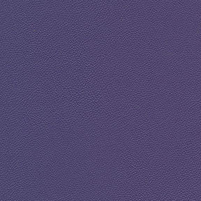 Allsport 3009 Bright Violet Fabric