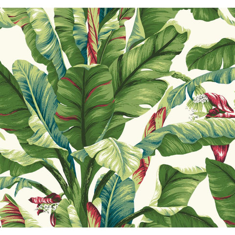 AT7068 White Green Banana Leaf Wallpaper