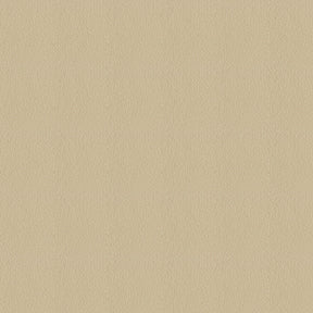 Avalon 528583 Sand Dune Fabric