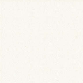 Avalon 528586 White Tie Fabric