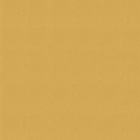 Avalon 528604 Chamois Fabric