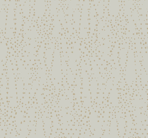 CI2354 Gray Gold Star Struck Wallpaper