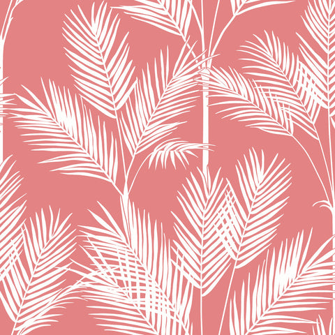 CV4407 Coral King Palm Silhouette Wallpaper