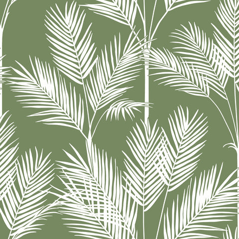 CV4411 Green King Palm Silhouette Wallpaper