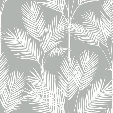 CV4412 Gray King Palm Silhouette Wallpaper