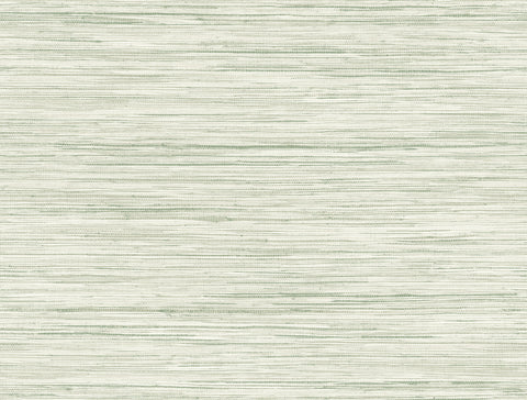 CV4413 Green Bahiagrass Wallpaper