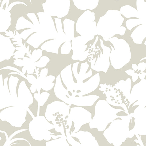 CV4438 Cream Hibiscus Arboretum Wallpaper