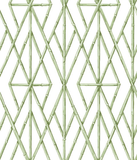 CV4451 Green Riviera Bamboo Trellis Wallpaper
