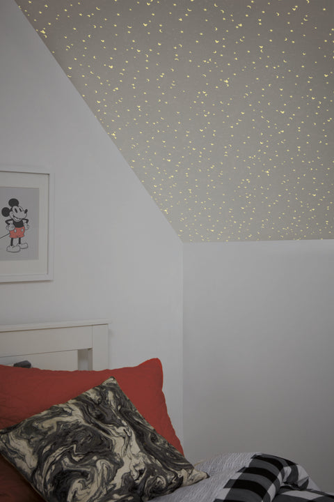 DI0987 Gray Disney Mickey Mouse Star Wallpaper
