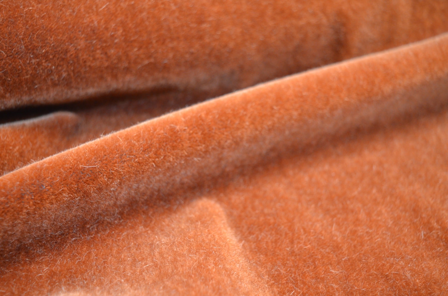 Biederrlack of the Americas 毛布 The Brook Velvet Fabric in Tapestry Red by Morris & Co