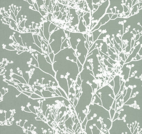 HC7519 Green Budding Branch Silhouette Wallpaper