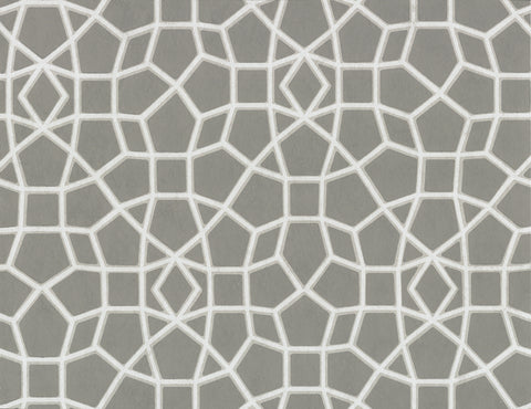 HC7527 Grey Sculptural Web Wallpaper