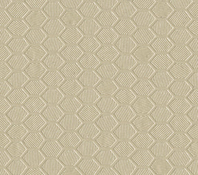 Hexx 960 Sand Fabric