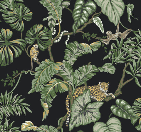 HO2143 Black Jungle Cat Wallpaper