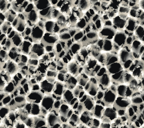 HO2164 Black/Off White Leopard Rosettes Wallpaper