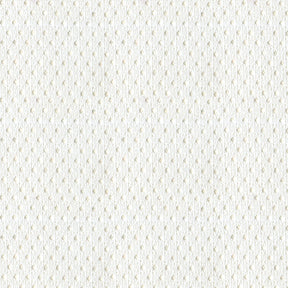 Jersey Mesh 60" 61 White Fabric