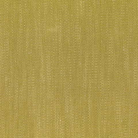 Lucy Thyme Regal Fabric