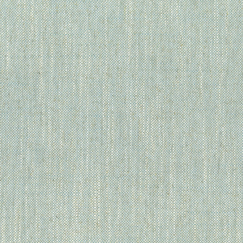 Nate Aqua Regal Fabric