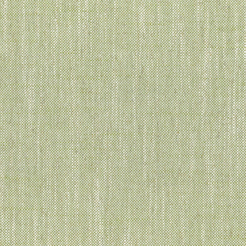 Nate Lime Regal Fabric