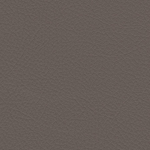Nuance 2454 Fawn Fabric