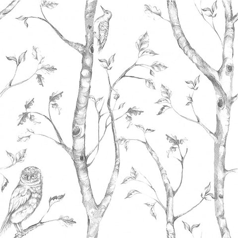 NU1412 Grey Woods Peel And Stick Wallpaper