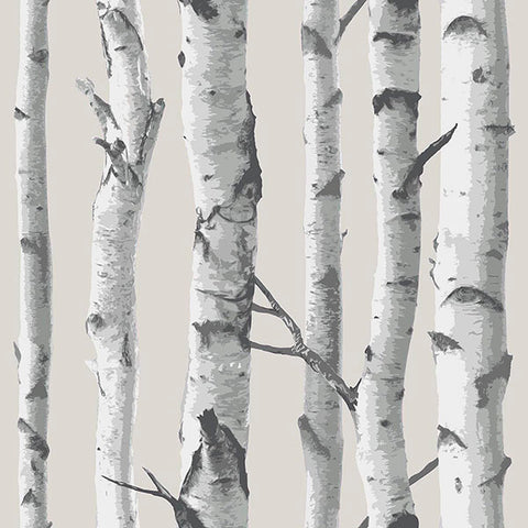 NU1650 Birch Tree Peel And Stick Wallpaper