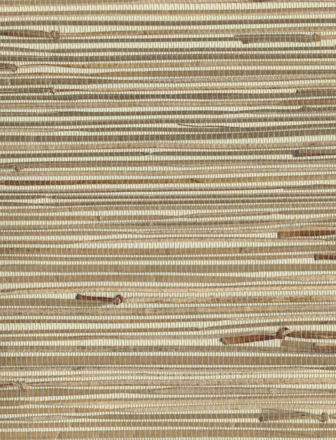 NZ0781 Beiges River Grass Wallpaper
