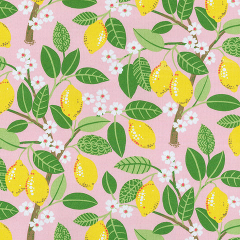 OD Lemon Tree Blush PK Lifestyles Outdoor Fabric
