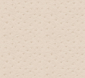 Ostrich 67 Wheat Fabric