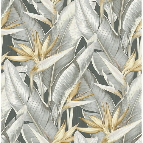 Kenneth James Palm Springs Arcadia Wallpaper (2754_PS40200)