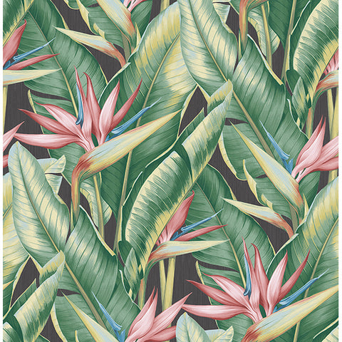 Kenneth James Palm Springs Arcadia Wallpaper (2754_PS40201)