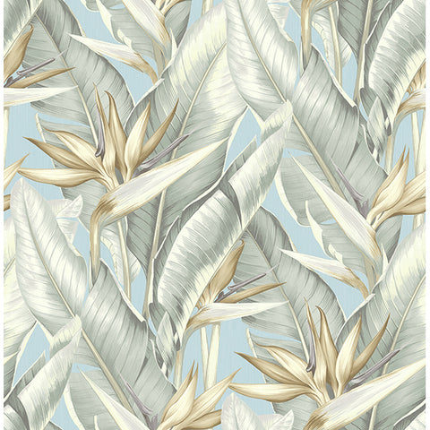 Kenneth James Palm Springs Arcadia Wallpaper (2754_PS40202)