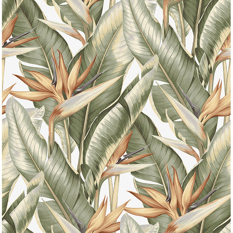 Kenneth James Palm Springs Arcadia Wallpaper (2754_PS40204)