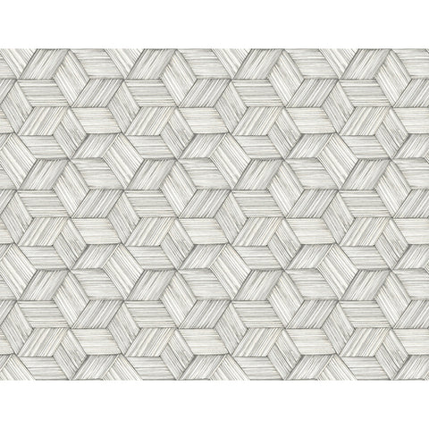 Kenneth James Palm Springs Intertwined Wallpaper (2754_PS41400)