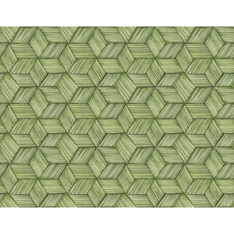 Kenneth James Palm Springs Intertwined Wallpaper (2754_PS41414)