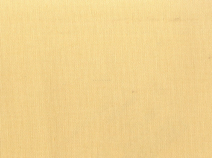 Pebbletex Champagne Covington Fabric