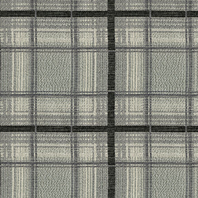 Ralph 94 Graphite Fabric
