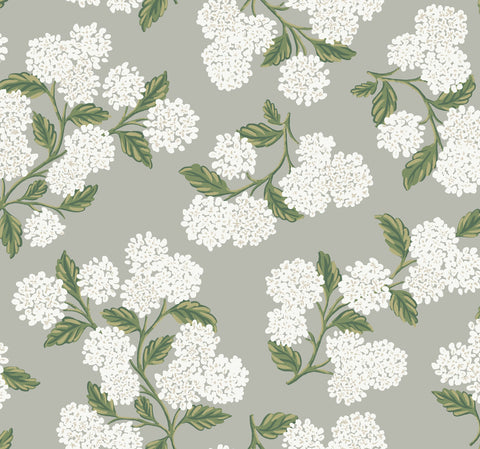 RI5144 Gray Hydrangea Wallpaper