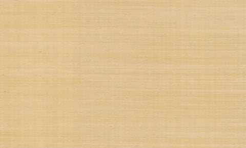 RI5185 Gold Palette Wallpaper