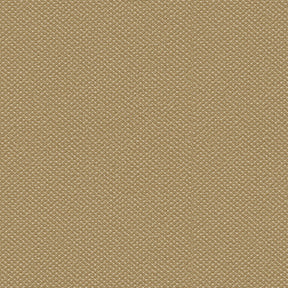 Silvertex 8808 Champagne Fabric