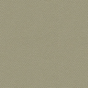 Silvertex 8818 Sage Fabric