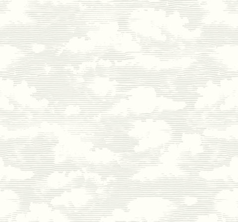 SS2526 Gray Cloud Cover Wallpaper