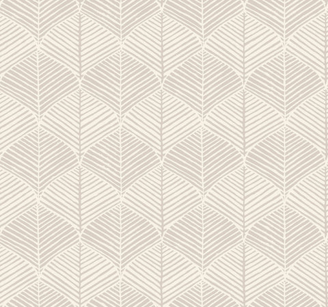 SS2567 Gray Palm Thatch Wallpaper